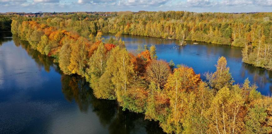 L'Etang de Chabaud-Latour en automne