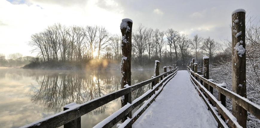 Marais de Fretin pendant l'hiver