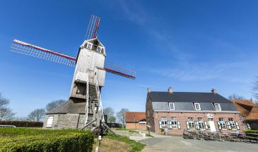 Le moulin de Boeschèpe et l'estaminet de Vierpot 