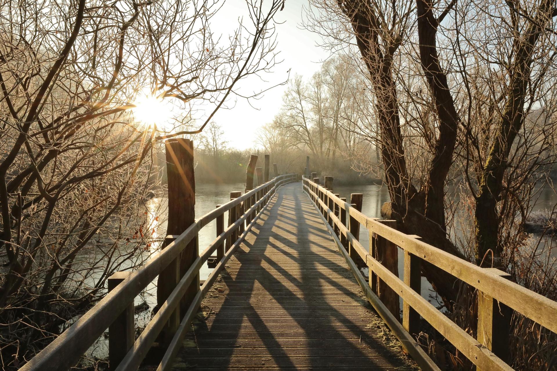 Le Marais de Fretin est un lieu à visiter lors de vacances dans le Nord et à Lille.