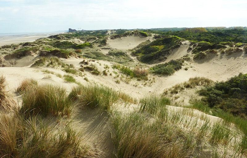Dune Dewulf, randonnée et animation nature