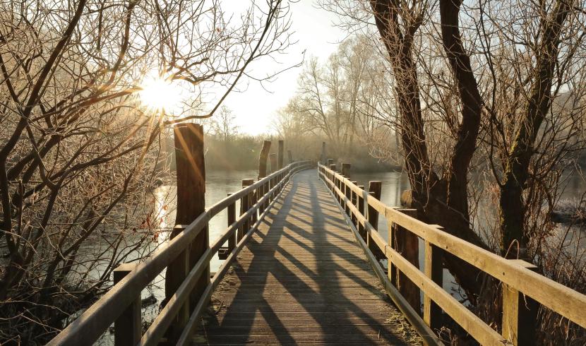 Le Marais de Fretin est un lieu à visiter lors de vacances dans le Nord et à Lille.