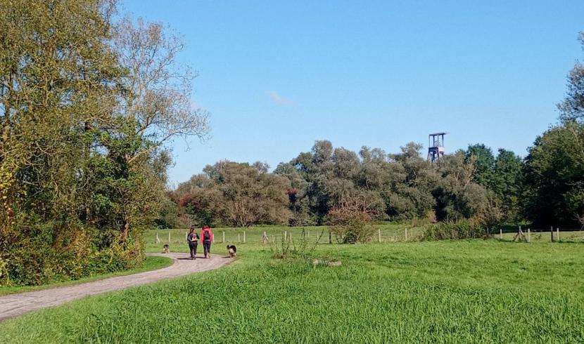 Un circuit pédestre familial : randonnée Chabaud-Latour