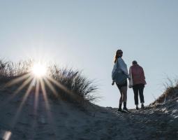 Les lieux calmes dans le Nord : les dunes de Flandre, un incontournable