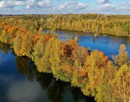 L'Etang de Chabaud-Latour en automne