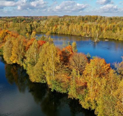 L'Etang de Chabaud-Latour en automne