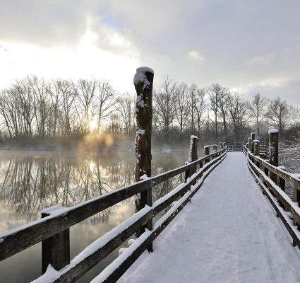 Marais de Fretin pendant l'hiver